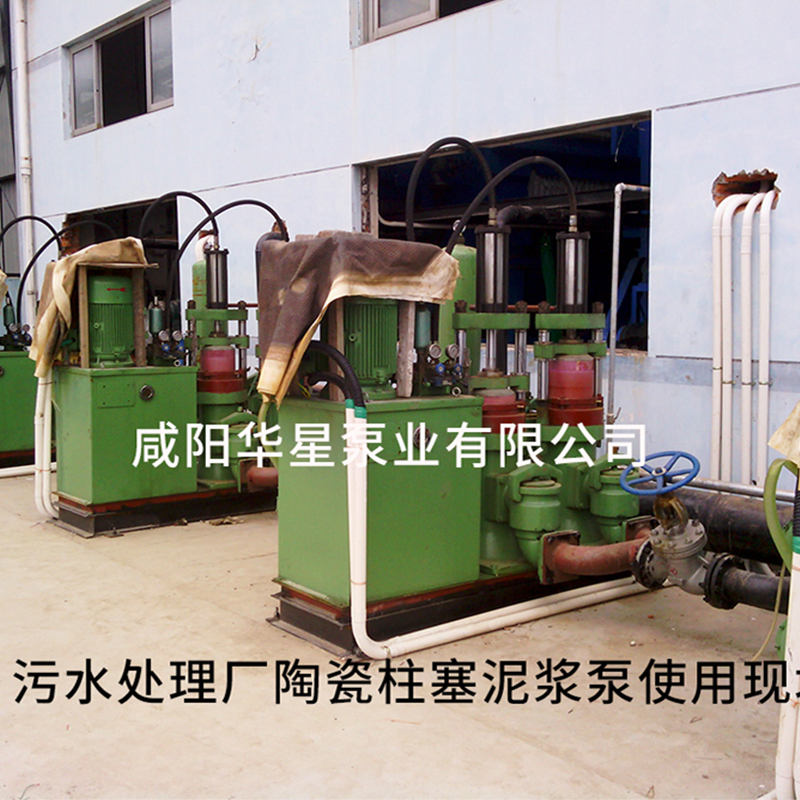 污水處理廠陶瓷柱塞泥漿泵使用現(xiàn)場