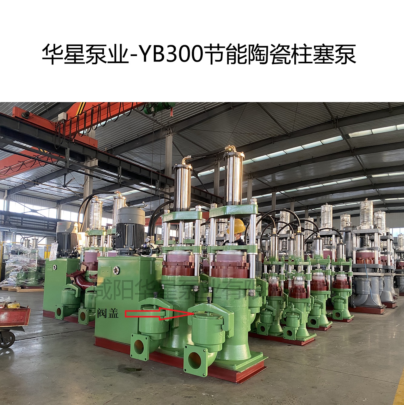 華星泵業(yè)-YB300節(jié)能陶瓷柱塞泵-03